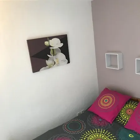 Isard Blanc Cauterets