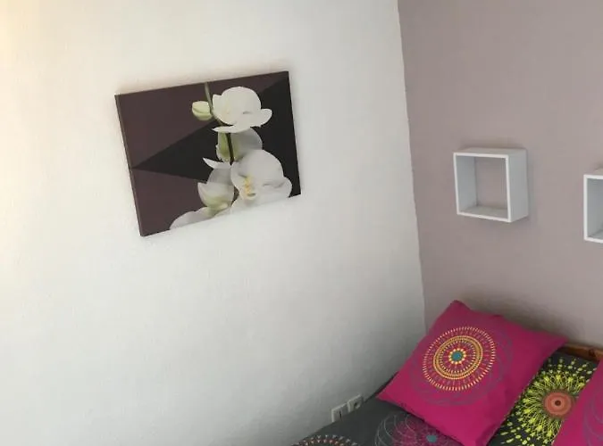 Isard Blanc Cauterets